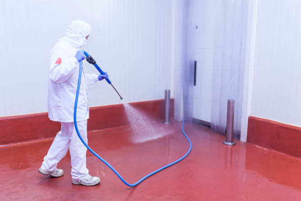 Best Dumpster Area Cleaning  in Birchwood Lakes, PA